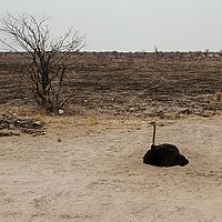 2013-09-19 13-48-25