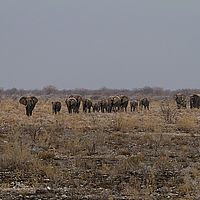 2013-09-19 13-55-46