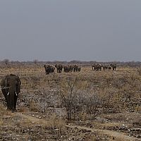 2013-09-19 13-56-36