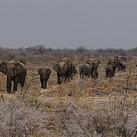 2013-09-19 13-58-57