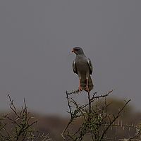 2013-09-19 14-35-57