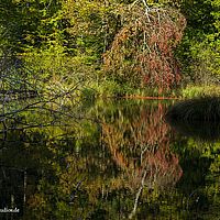 2014-10-12 14-39-32