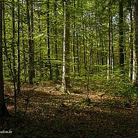 2014-10-12 14-44-51
