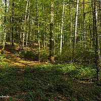 2014-10-12 14-51-02