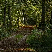 2014-10-12 14-51-19
