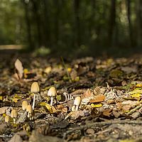 2014-10-12 15-10-53