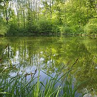 2015-05-09 19-42-40