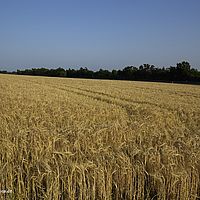 2015-07-14 19-29-31