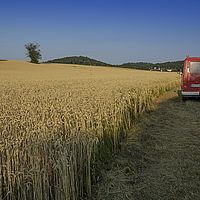 2015-07-14 19-39-13