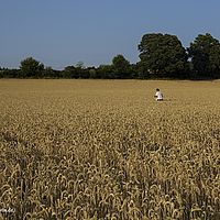 2015-07-14 19-39-46