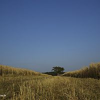 2015-07-14 19-45-37