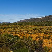 2013-09-09 13-28-01