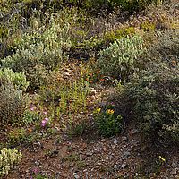 2013-09-09 16-25-51