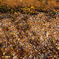 2013-09-09 18-20-29