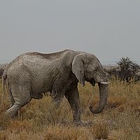 2013-09-19 15-25-19