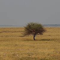 2013-09-19 15-46-04