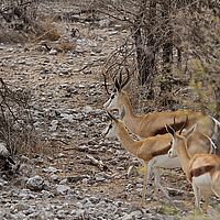 2013-09-19 15-59-10