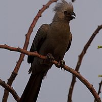 2013-09-19 17-36-32