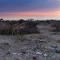2013-09-20 07-02-24