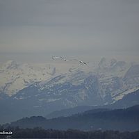 2014-10-25 09-40-08-2