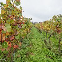 2014-10-25 16-16-28