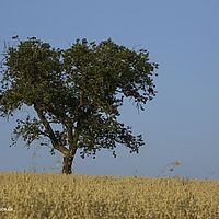 2015-07-14 19-58-09