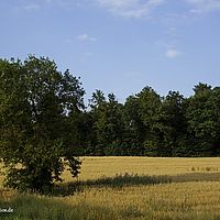 2015-07-23 18-40-36
