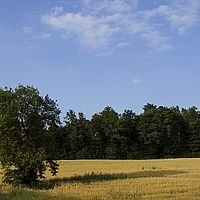 2015-07-23 18-41-19
