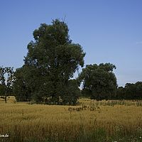 2015-07-23 18-46-19