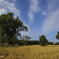 2015-07-23 18-58-37