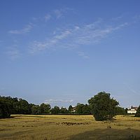 2015-07-23 19-15-42