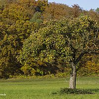 2015-10-25 16-27-15
