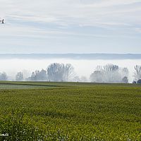 2015-11-08 12-19-20