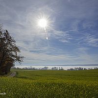 2015-11-08 12-20-44