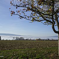 2015-11-08 12-29-36