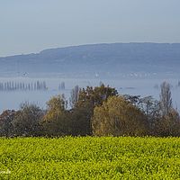 2015-11-08 12-34-09