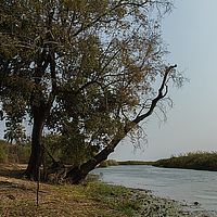 2013-09-21 09-03-43