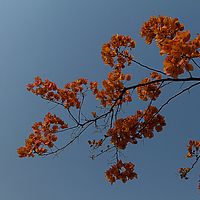 2013-09-21 09-08-05
