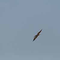 2013-09-21 10-14-10