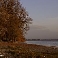2015-11-15 17-11-46