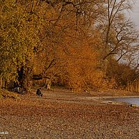 2015-11-15 17-12-12