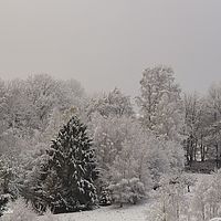2015-11-22 09-08-48