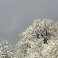 2015-11-22 09-50-20