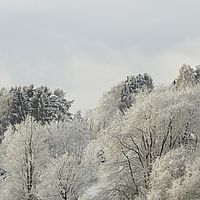2015-11-22 09-50-35
