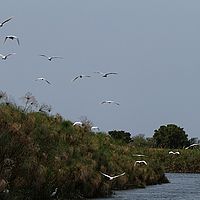 2013-09-21 10-43-37