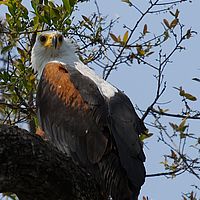 2013-09-21 10-46-13