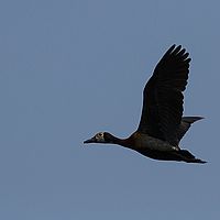 2013-09-21 11-30-24-2