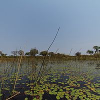 2013-09-21 13-09-25