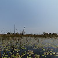 2013-09-21 13-15-40
