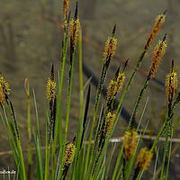 2014-04-21 05-25-18